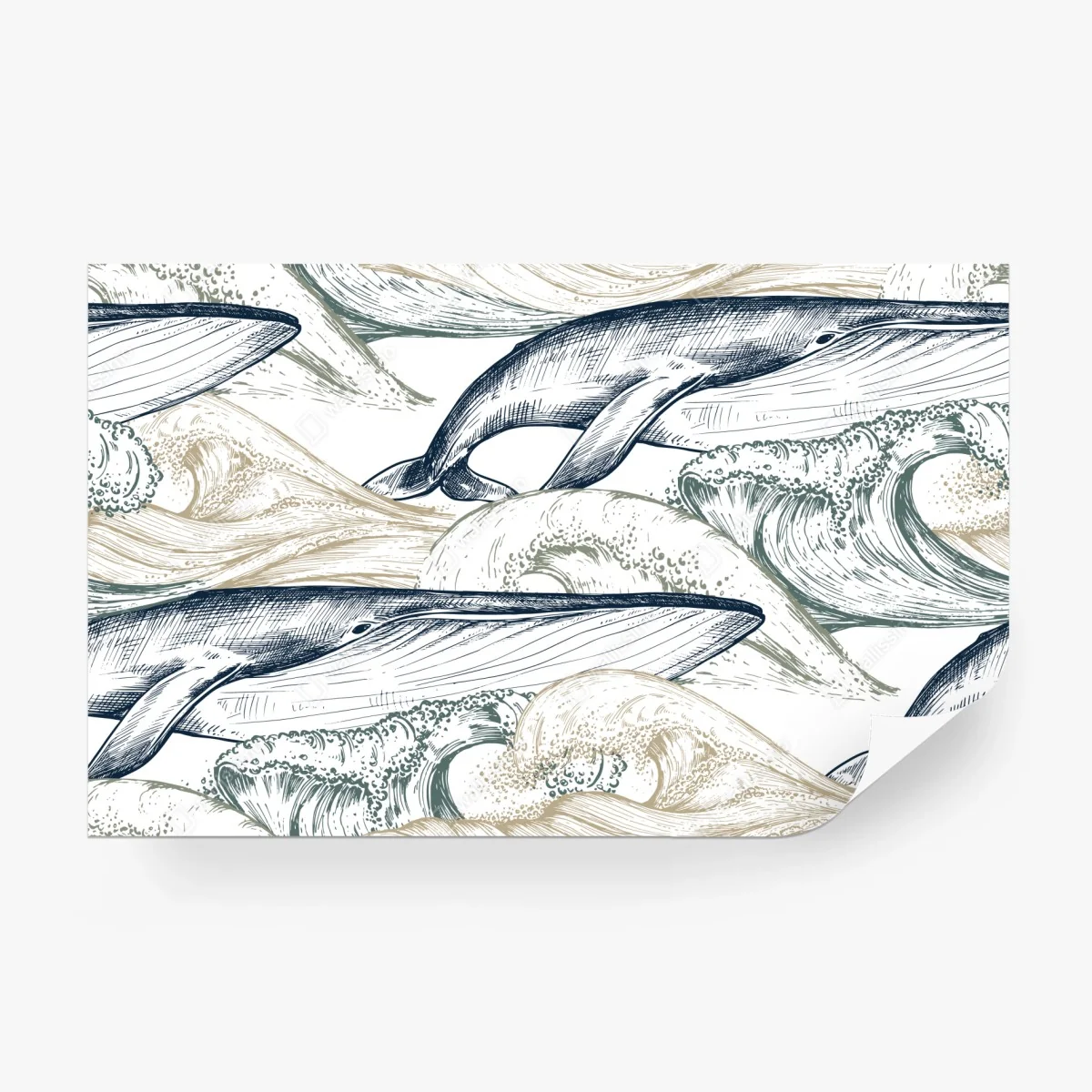 Fototapete handgezeichnete wale und ozeanwellen – Wallnifity®
