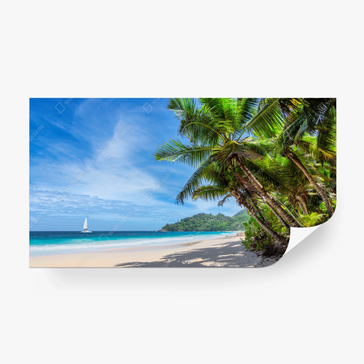 Fototapete tropischer strand mit palmen und segelboot – Wallnifity®