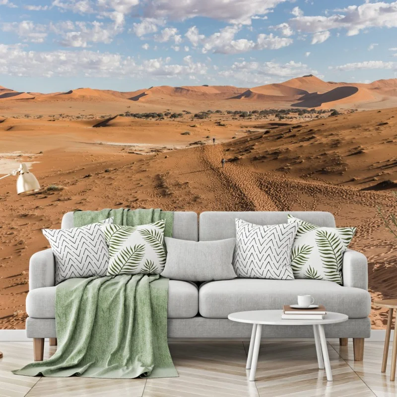 Wüste – Wallnifity®