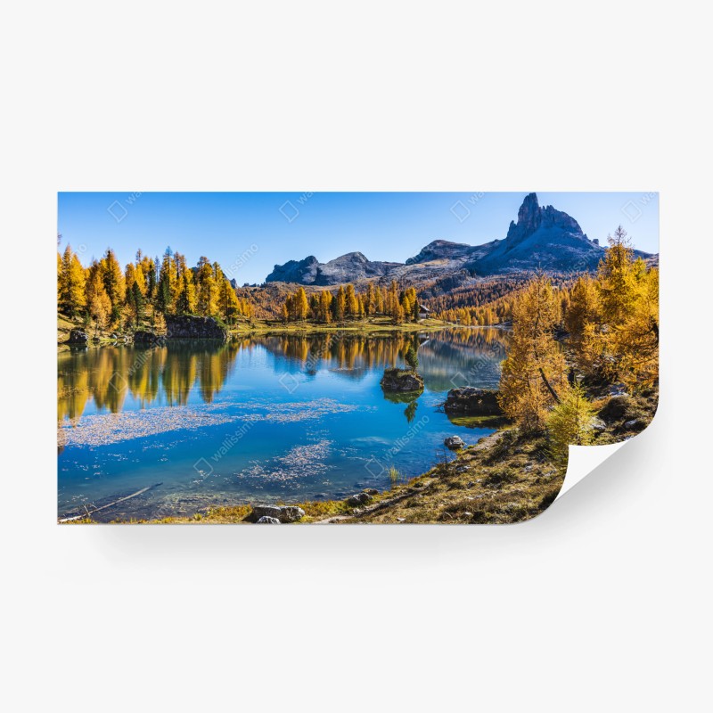 Natur – Wallnifity®