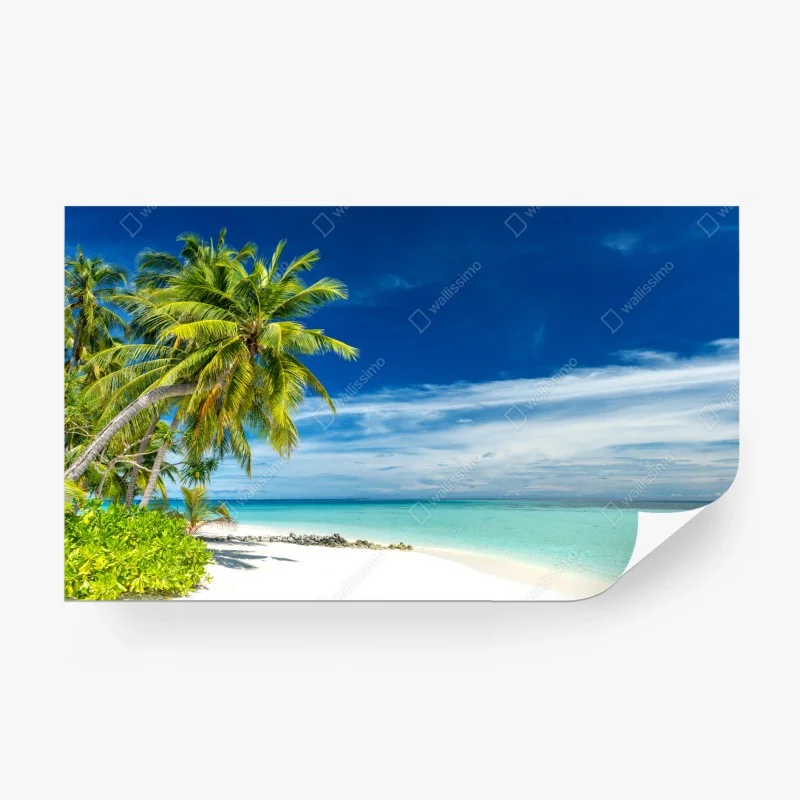 Strand – Wallnifity®