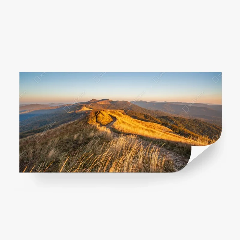 Fototapeten – Wallnifity®