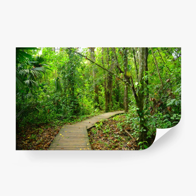 Natur – Wallnifity®