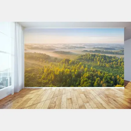 Fototapete nebliger morgen im sumpf von Zvanets – Wallnifity®