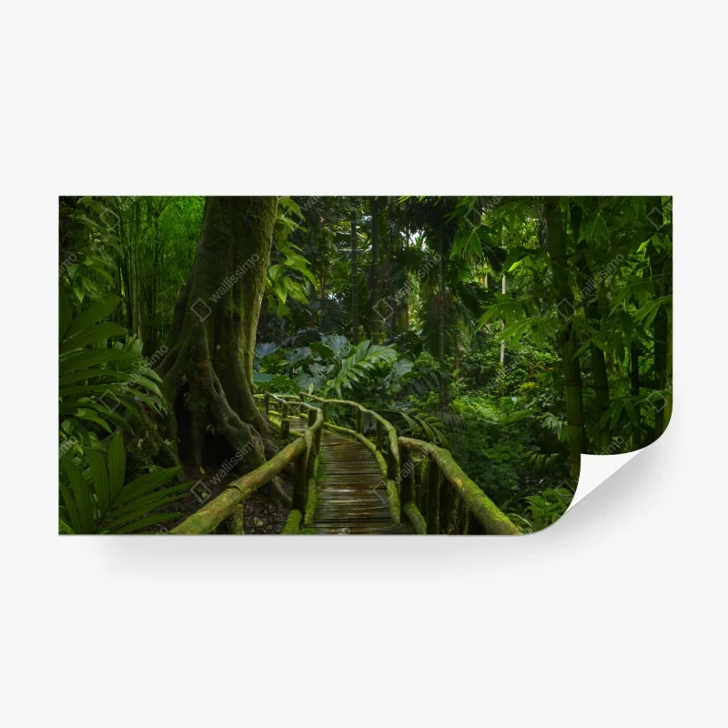 Dschungel – Wallnifity®