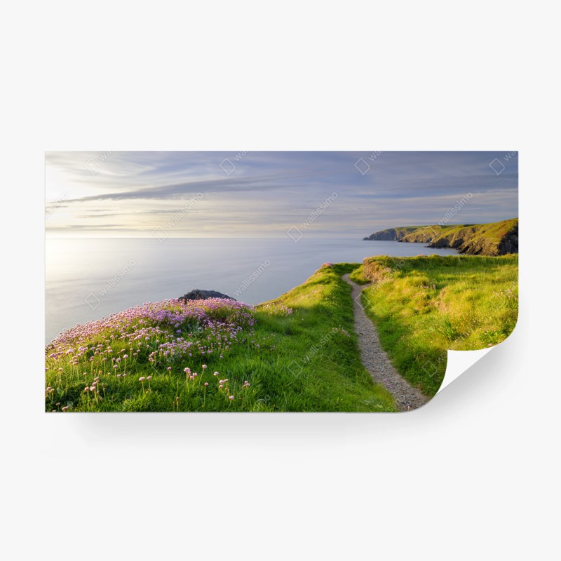 Fototapeten – Wallnifity®