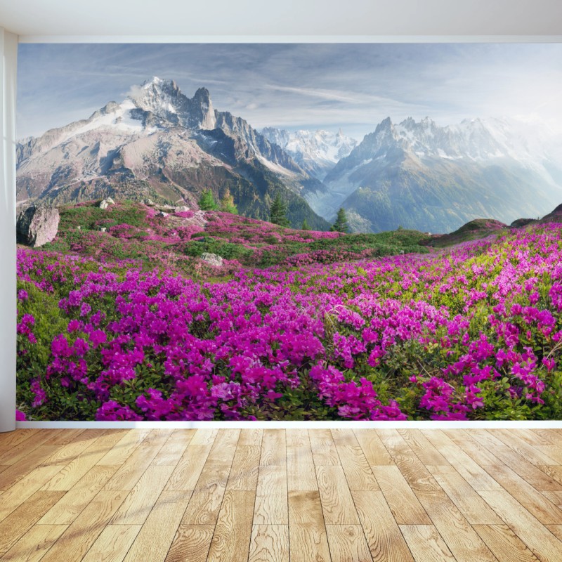 Natur – Wallnifity®