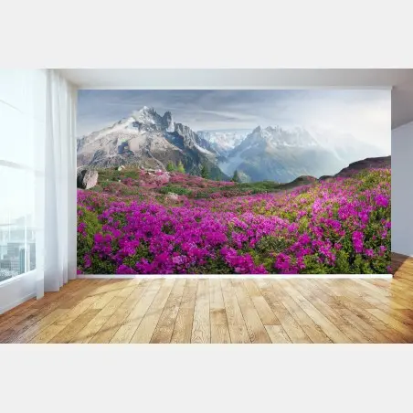 Fototapete alpine rhododendronwiese bei Mont Blanc – Wallnifity®