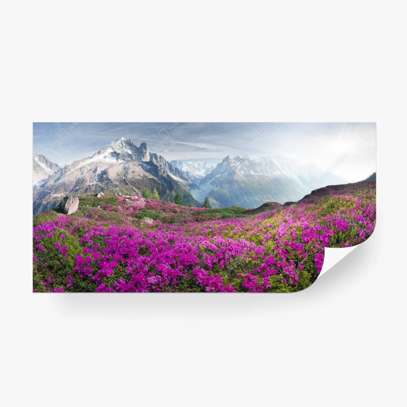 Natur – Wallnifity®