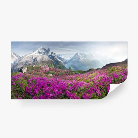 Fototapete alpine rhododendronwiese bei Mont Blanc – Wallnifity®