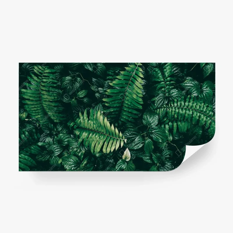 Blätter – Wallnifity®