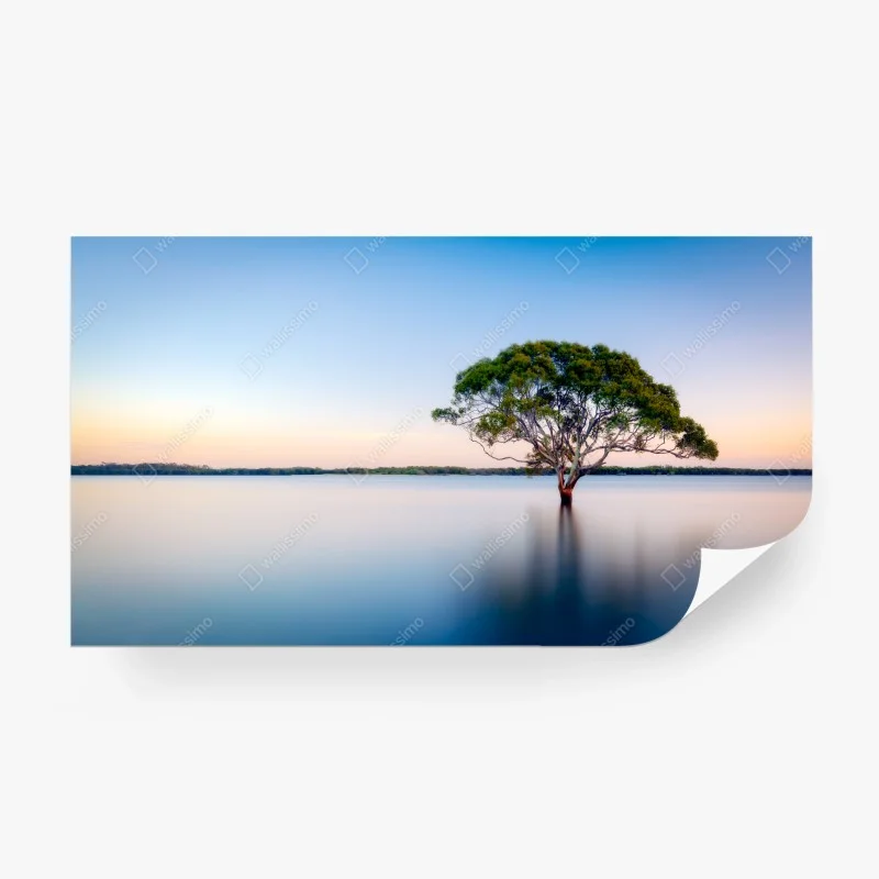 Natur – Wallnifity®