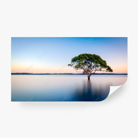 Fototapete einsamer baum am stillen see – Wallnifity®