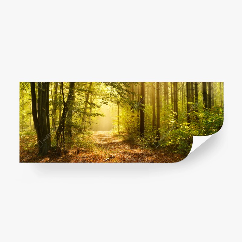 Natur – Wallnifity®