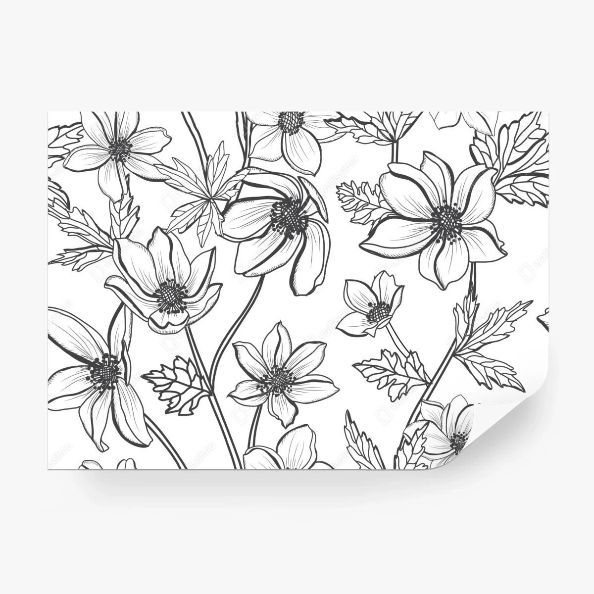Fototapete botanische linienzeichnung mit blumen – Wallnifity®