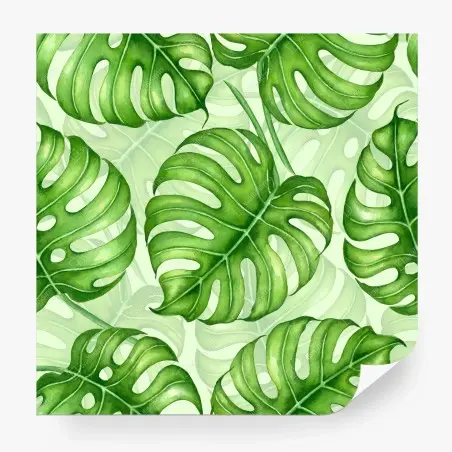 Fototapete aquarell monstera blättermuster – Wallnifity®