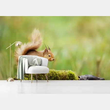 Fototapete rotes eichhörnchen auf moosigem stamm – Wallnifity®