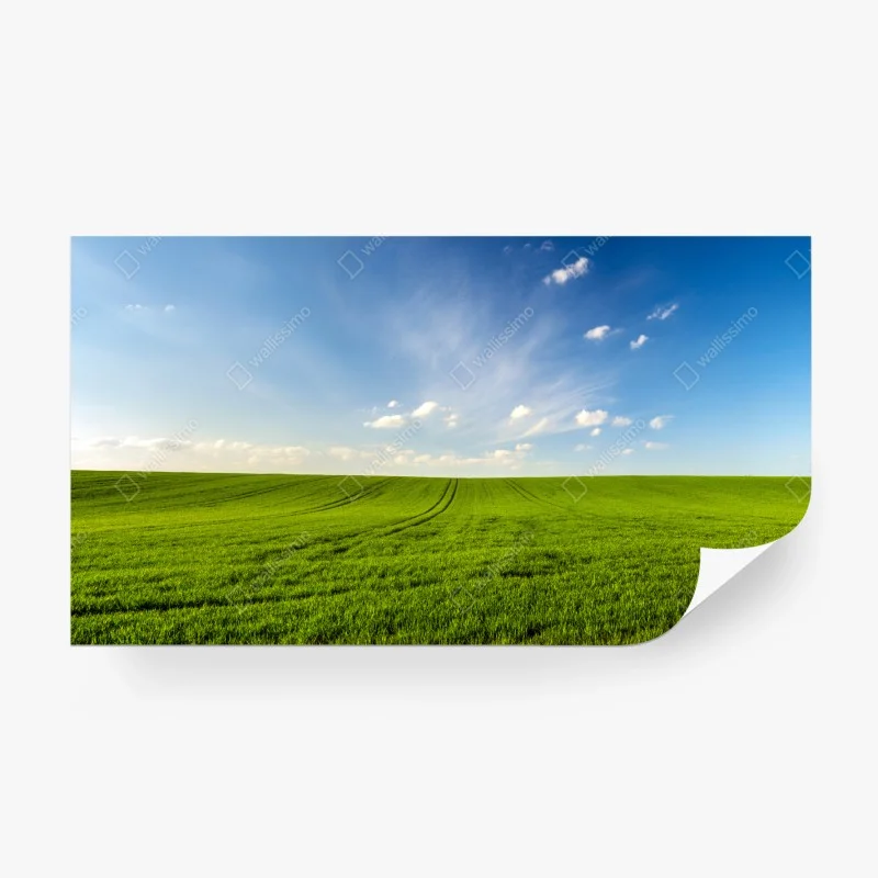 Fototapeten – Wallnifity®