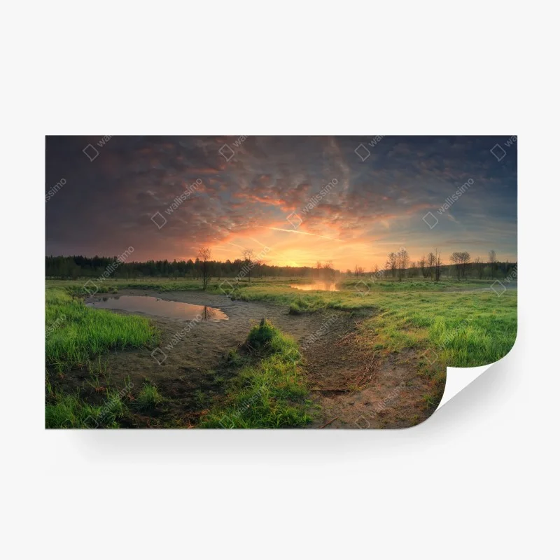 Wiesen – Wallnifity®