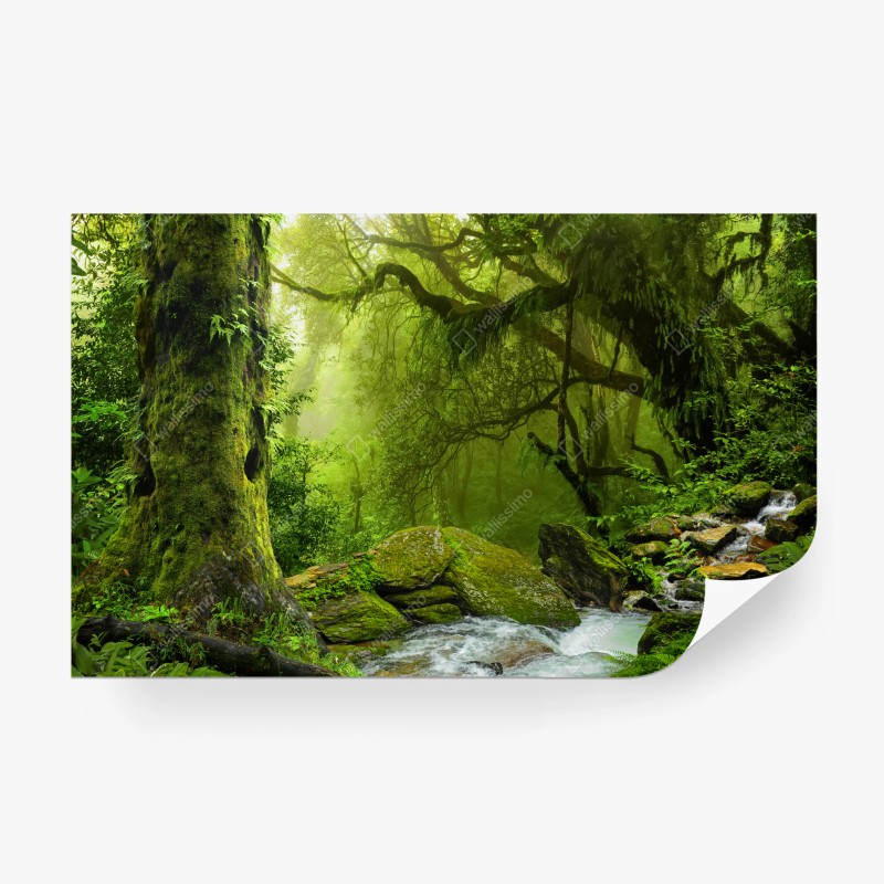 Fototapeten – Wallnifity®