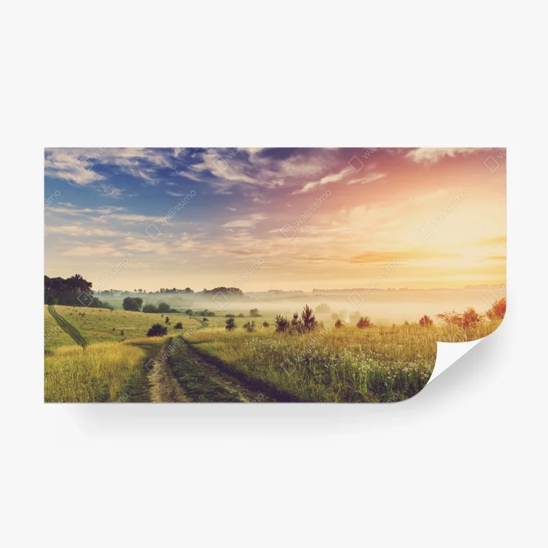 Vintage – Wallnifity®