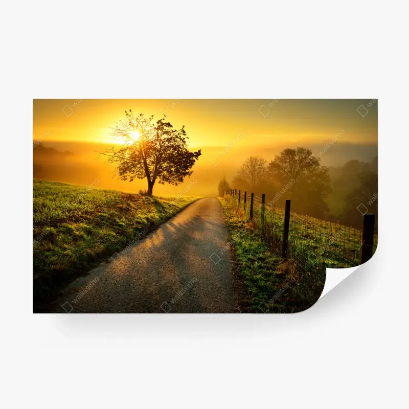 Wiesen – Wallnifity®