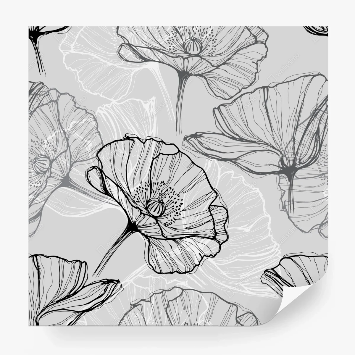 Fototapete zarter grauer mohn in linienzeichnung – Wallnifity®