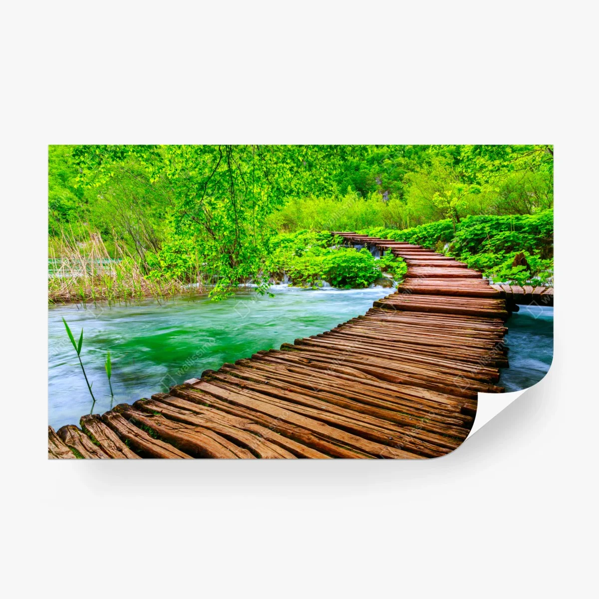 Fototapete ruhiger grüner steg über dem fluss – Wallnifity® Fototapete ruhiger grüner steg über dem fluss – Wallnifity®
