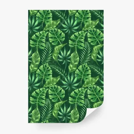Fototapete tropisches monstera blattmuster – Wallnifity®