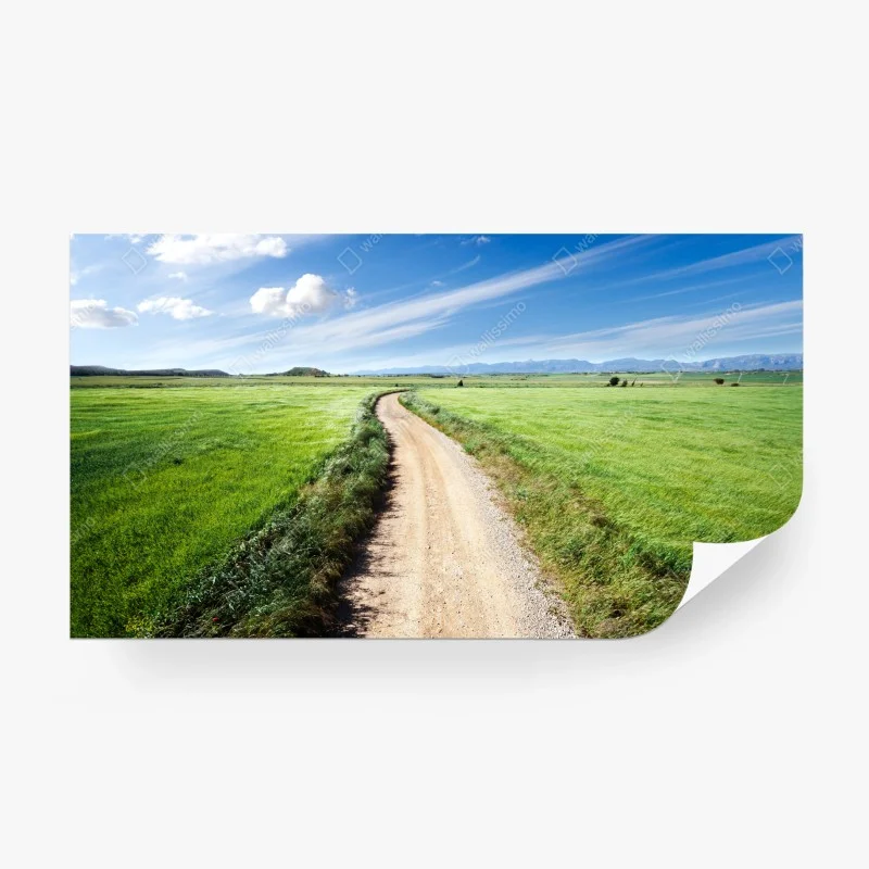 Wiesen – Wallnifity®