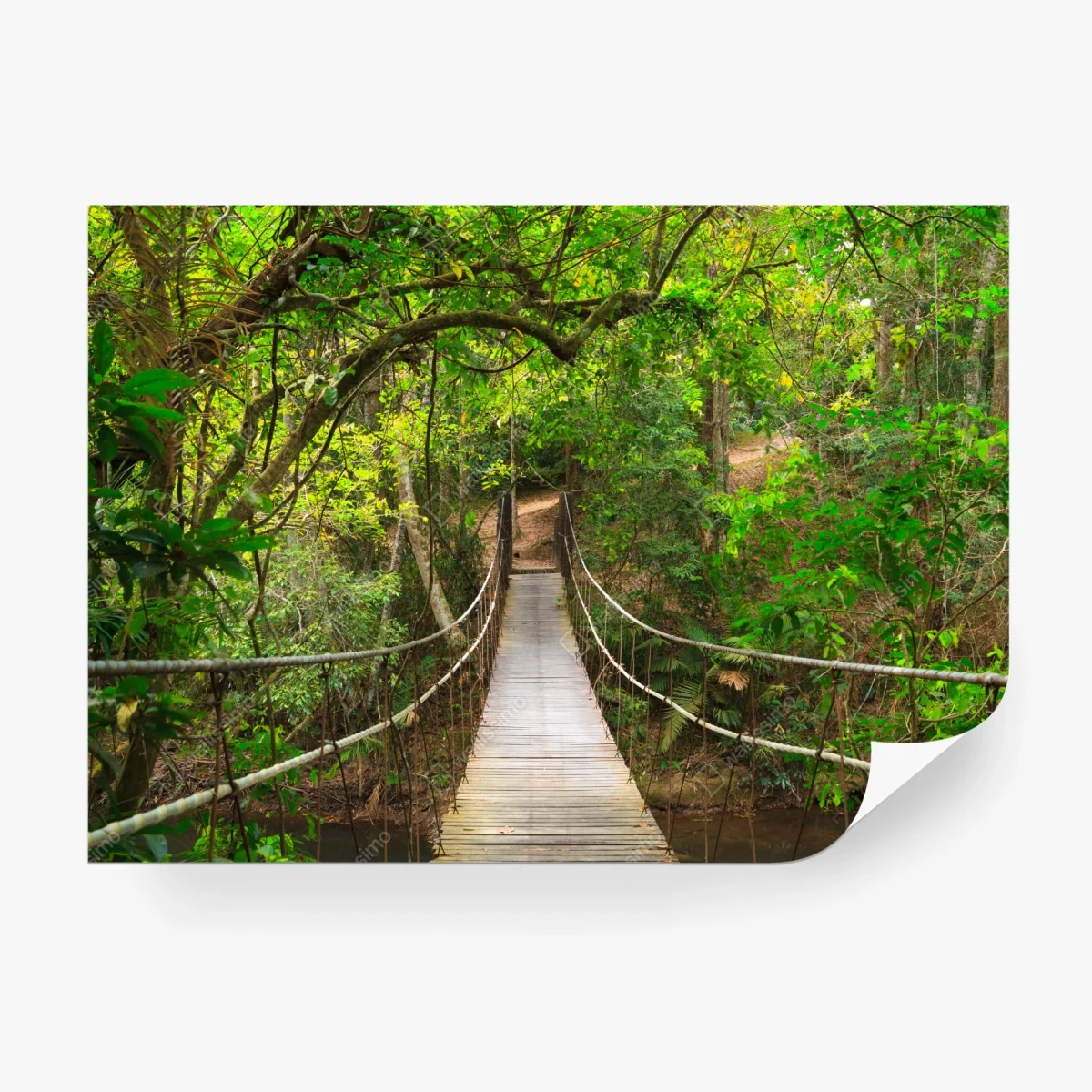 Fototapete hängende holzbrücke im grünen wald – Wallnifity® Fototapete hängende holzbrücke im grünen wald – Wallnifity®