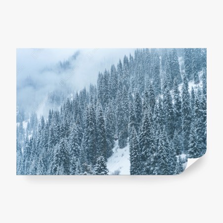 Fototapete nebeliger schneebedeckter kiefernwald – Wallnifity®