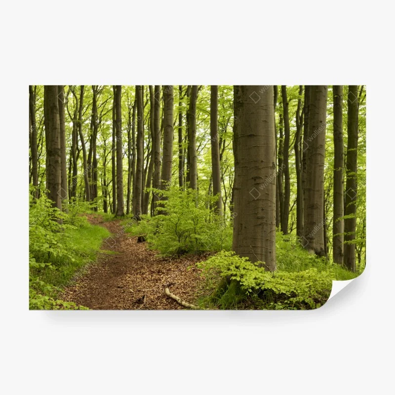 Wohnzimmer – Wallnifity®