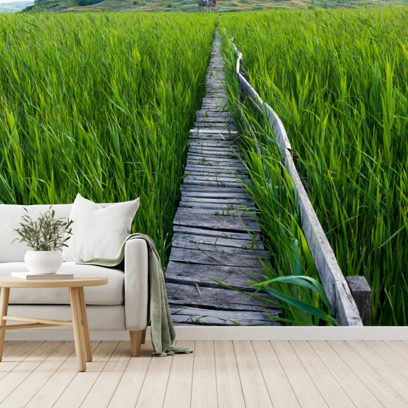 Wiesen – Wallnifity®