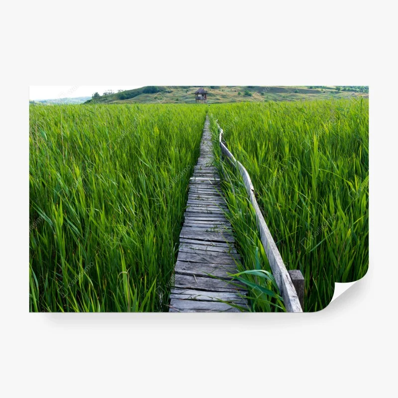 Wiesen – Wallnifity®