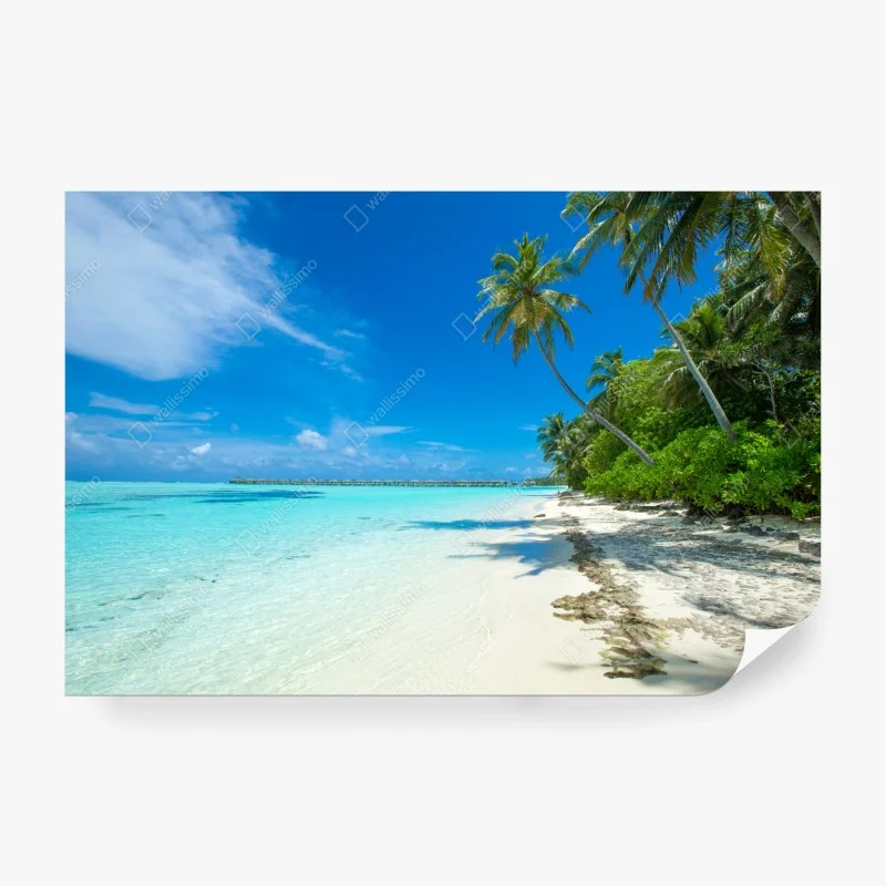 Fototapete tropischer strand auf den Malediven – Wallnifity®