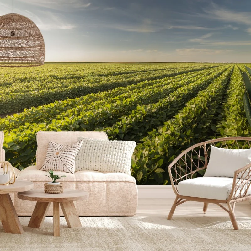 Wiesen – Wallnifity®