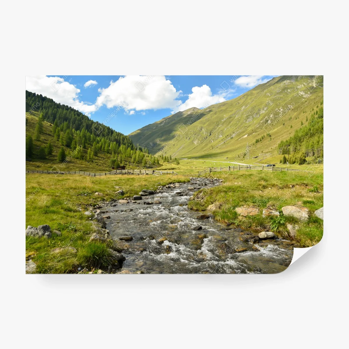 Fototapete alpenbach im sonnigen tal – Wallnifity®