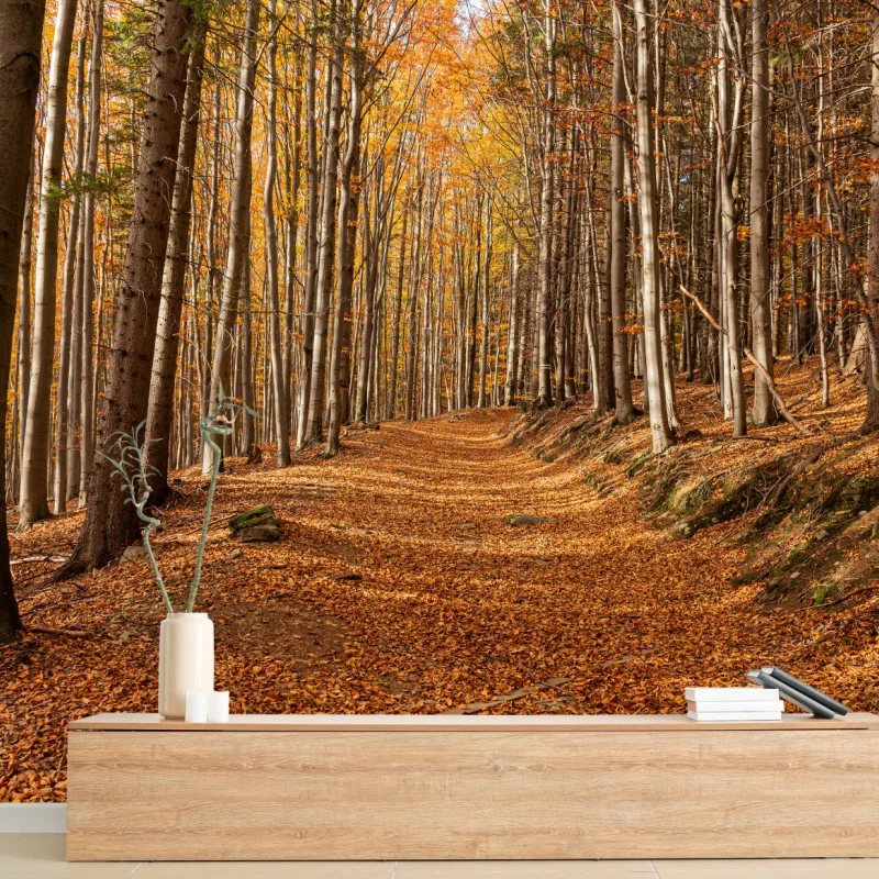 Wälder – Wallnifity®