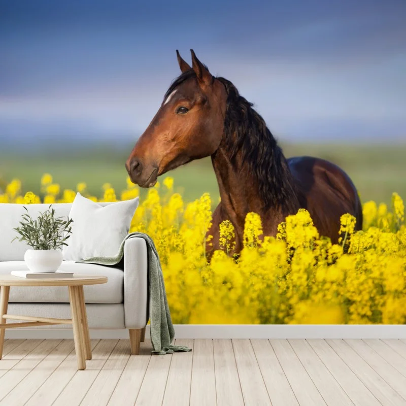 Pferde – Wallnifity®