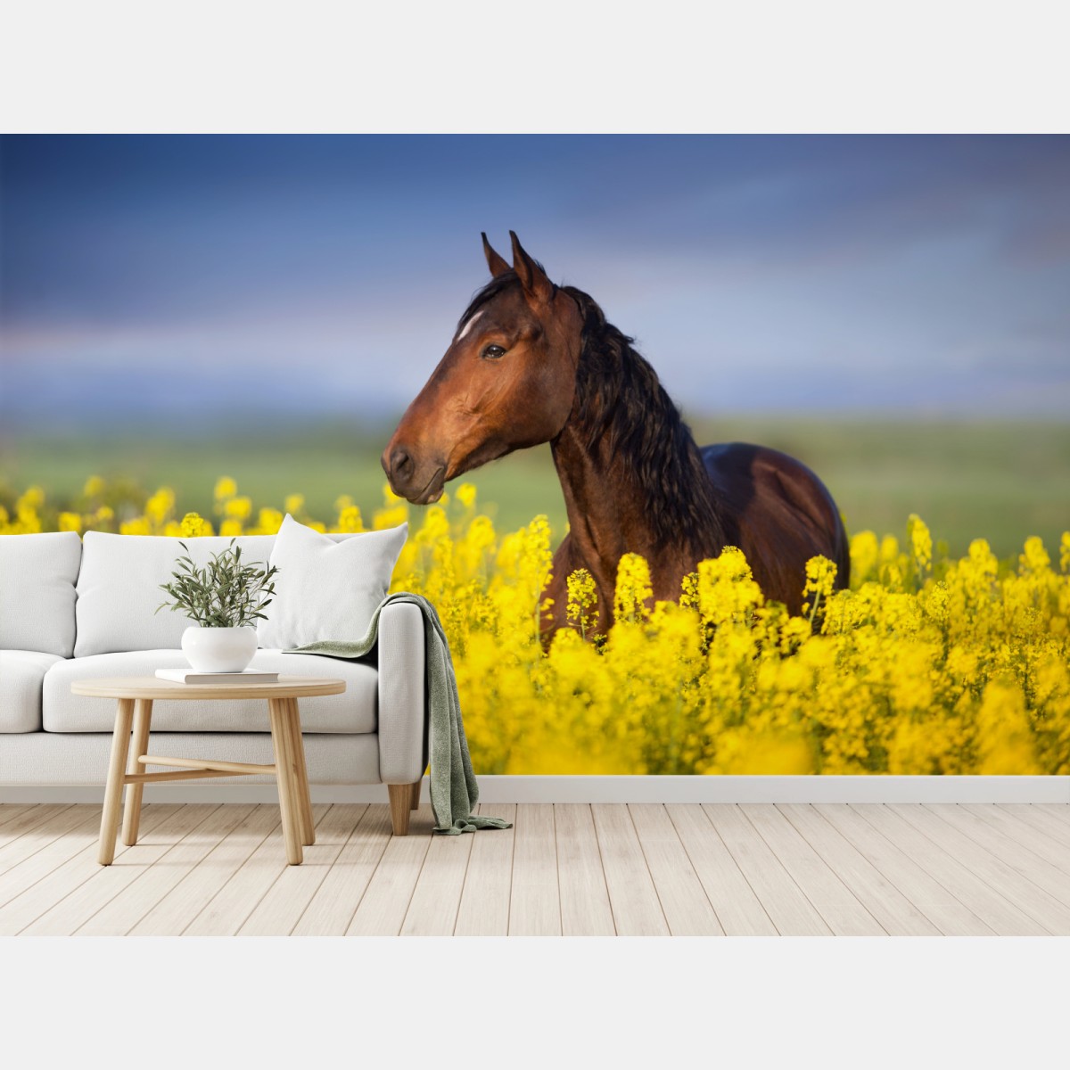 Fototapete braunes pferd im gelben rapsfeld – Wallnifity®