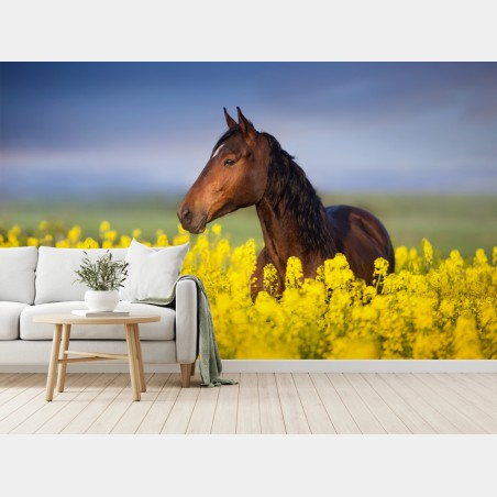 Fototapete braunes pferd im gelben rapsfeld – Wallnifity®