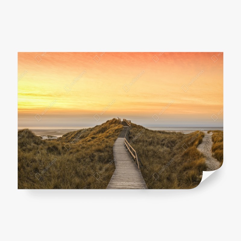 Natur – Wallnifity®