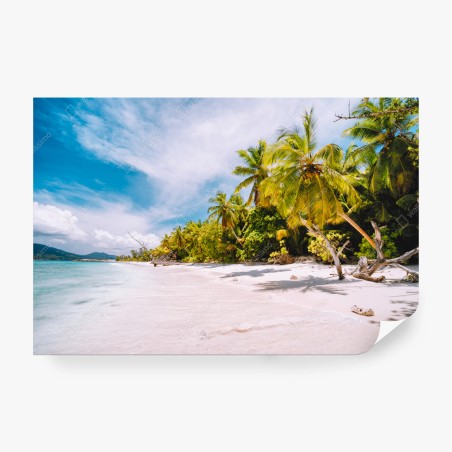Fototapete tropischer strandidyll mit palmen – Wallnifity®