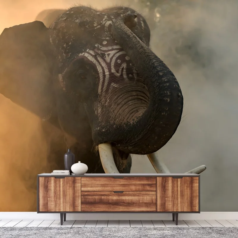 Fototapete majestätischer Thai-elefant mit stoßzähnen – Wallnifity®