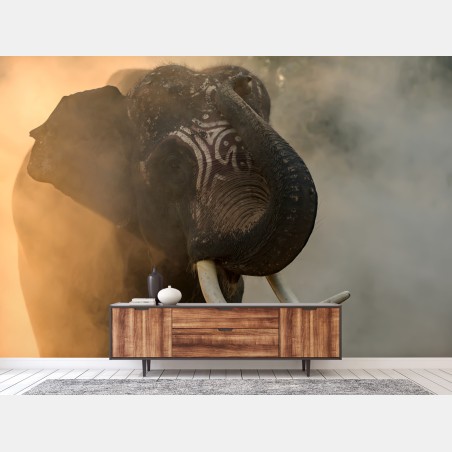 Fototapete majestätischer Thai-elefant mit stoßzähnen – Wallnifity®