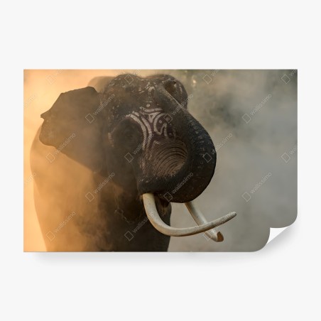 Fototapete majestätischer Thai-elefant mit stoßzähnen – Wallnifity®