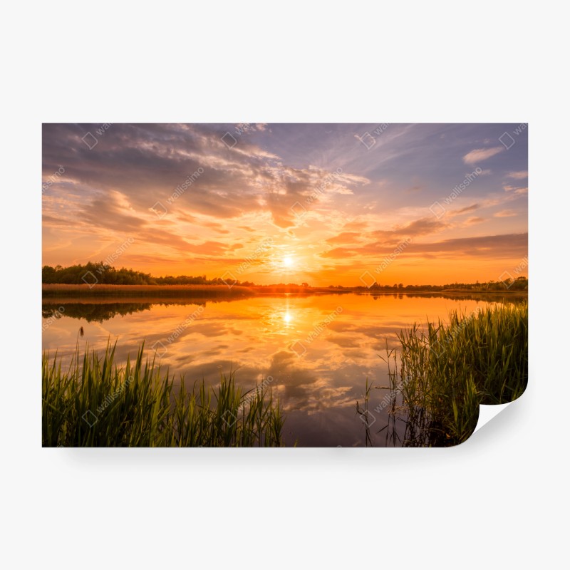 Wohnzimmer – Wallnifity®