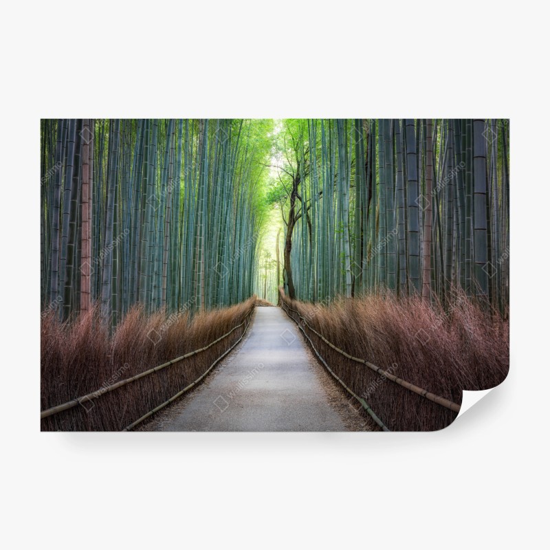 Fototapeten – Wallnifity®