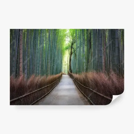Fototapete ruhiger bambuswaldweg – Wallnifity®